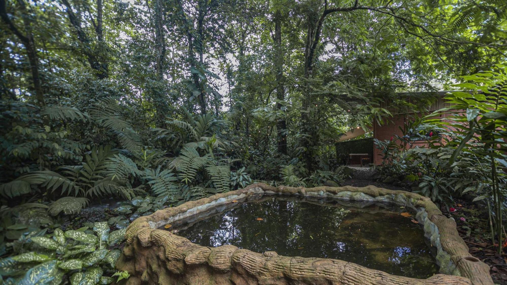 The Frog House Apartment La Fortuna Екстериор снимка