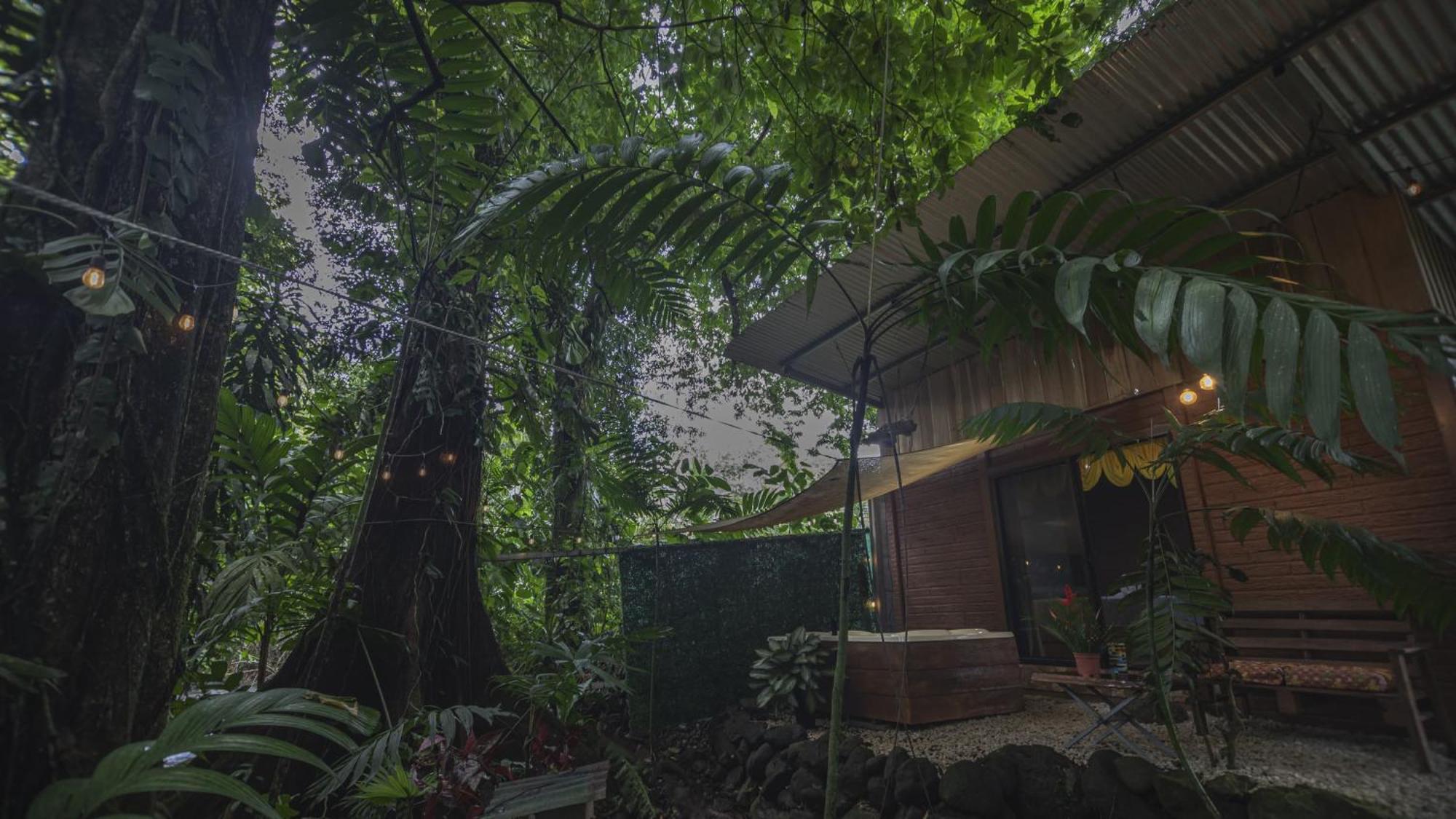 The Frog House Apartment La Fortuna Екстериор снимка