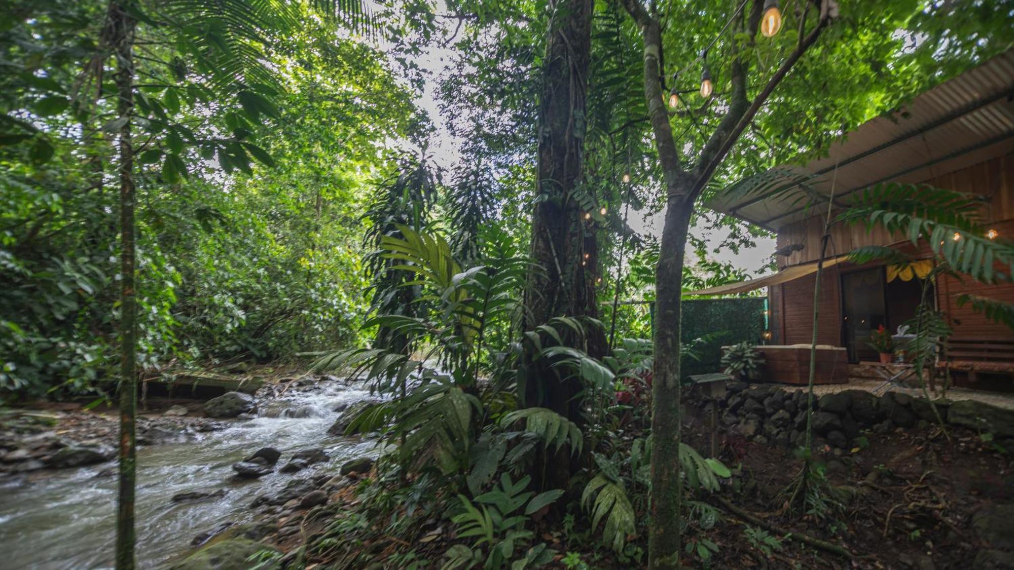 The Frog House Apartment La Fortuna Екстериор снимка